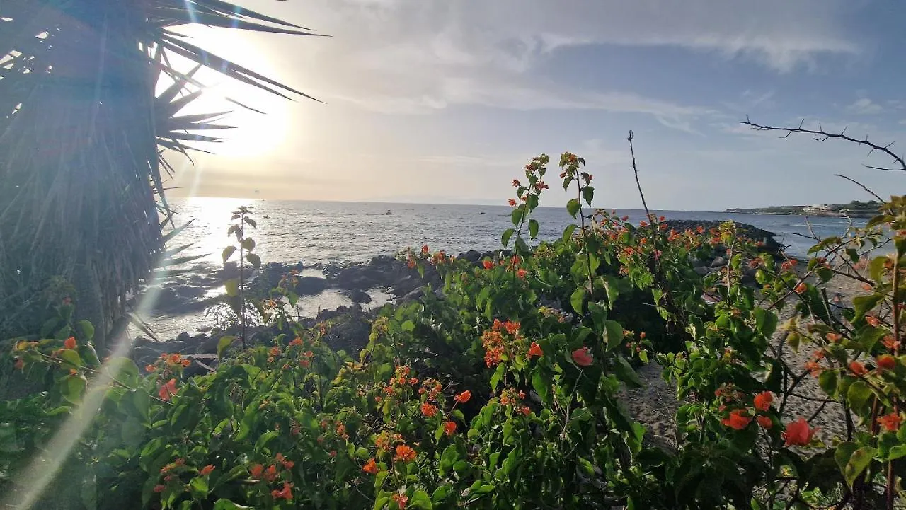 Ocean View Apartment, Costa Adeje,Tenerife Aparthotel